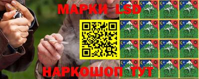 прущие грибы Нижний Тагил