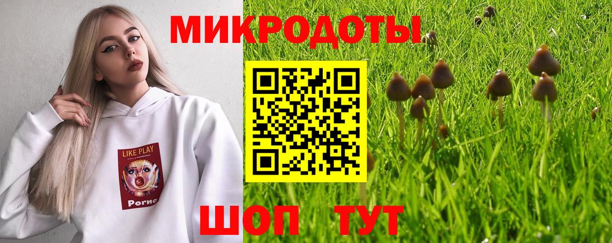 Псилоцибиновые грибы Magic Shrooms Кохма