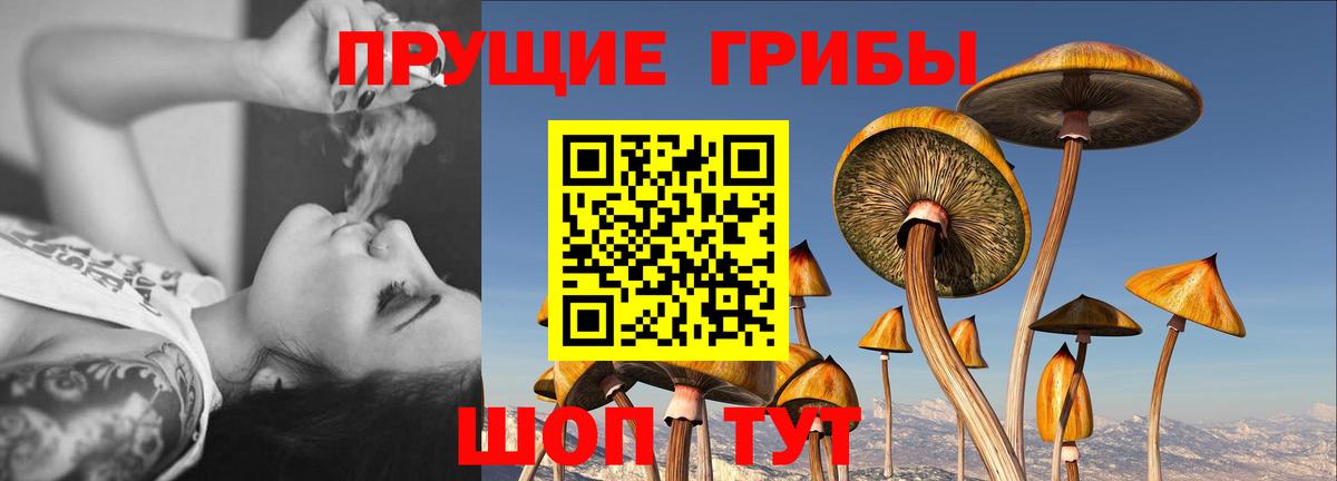 купить   Вход с VPN  Кохма  Галлюциногенные грибы ЛСД 